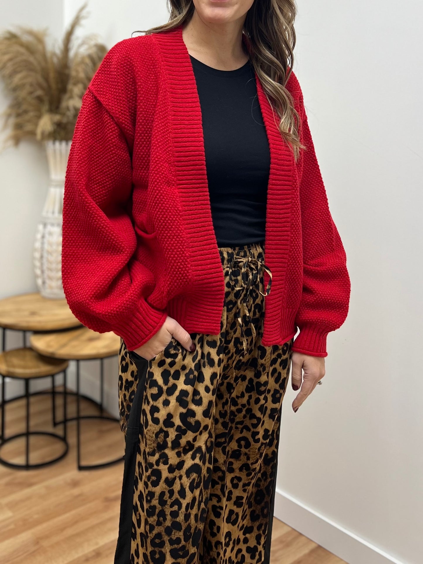 The Zola Satin Leopard Pants