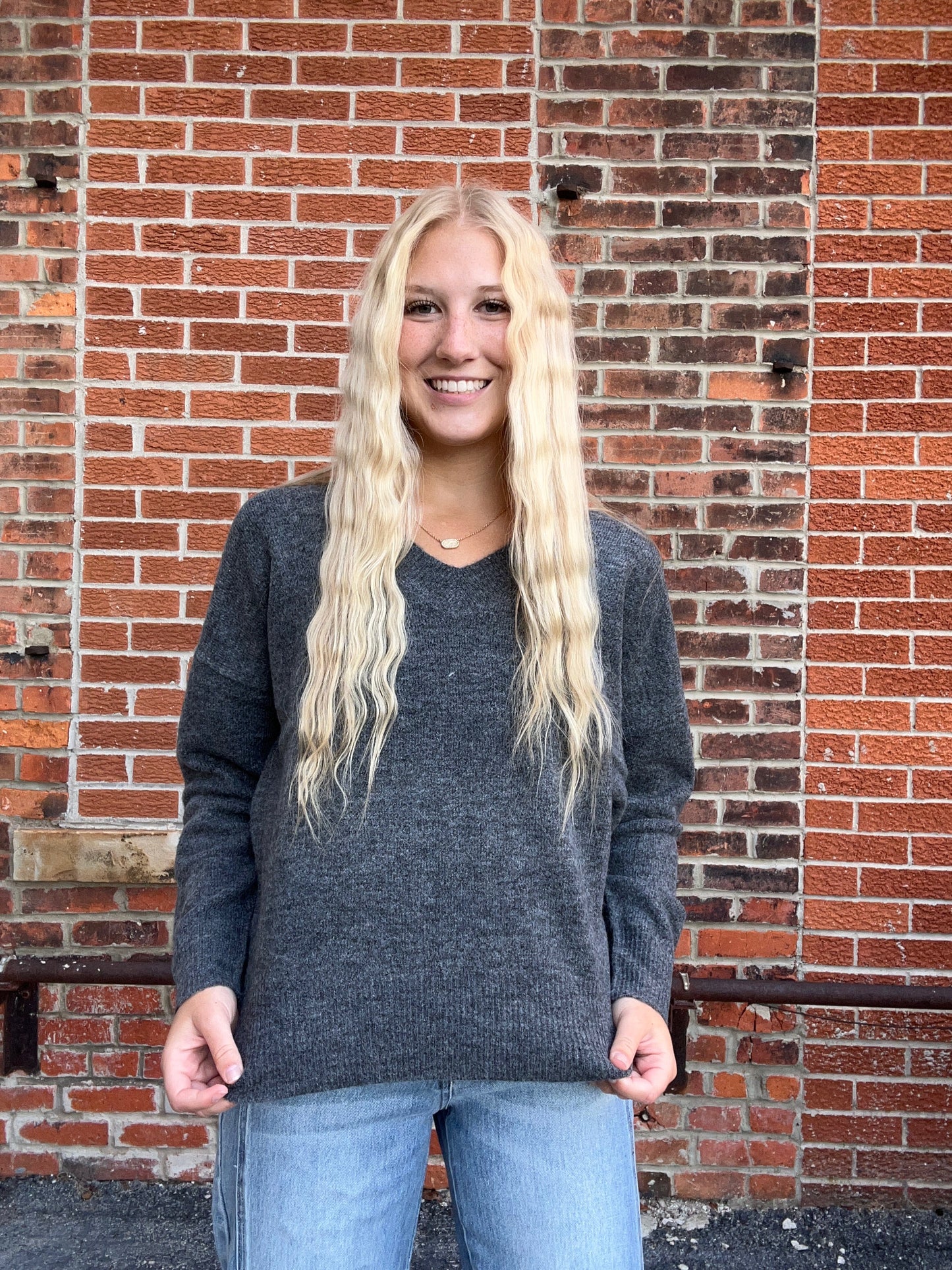 The Lennox Solid V Neck Sweater