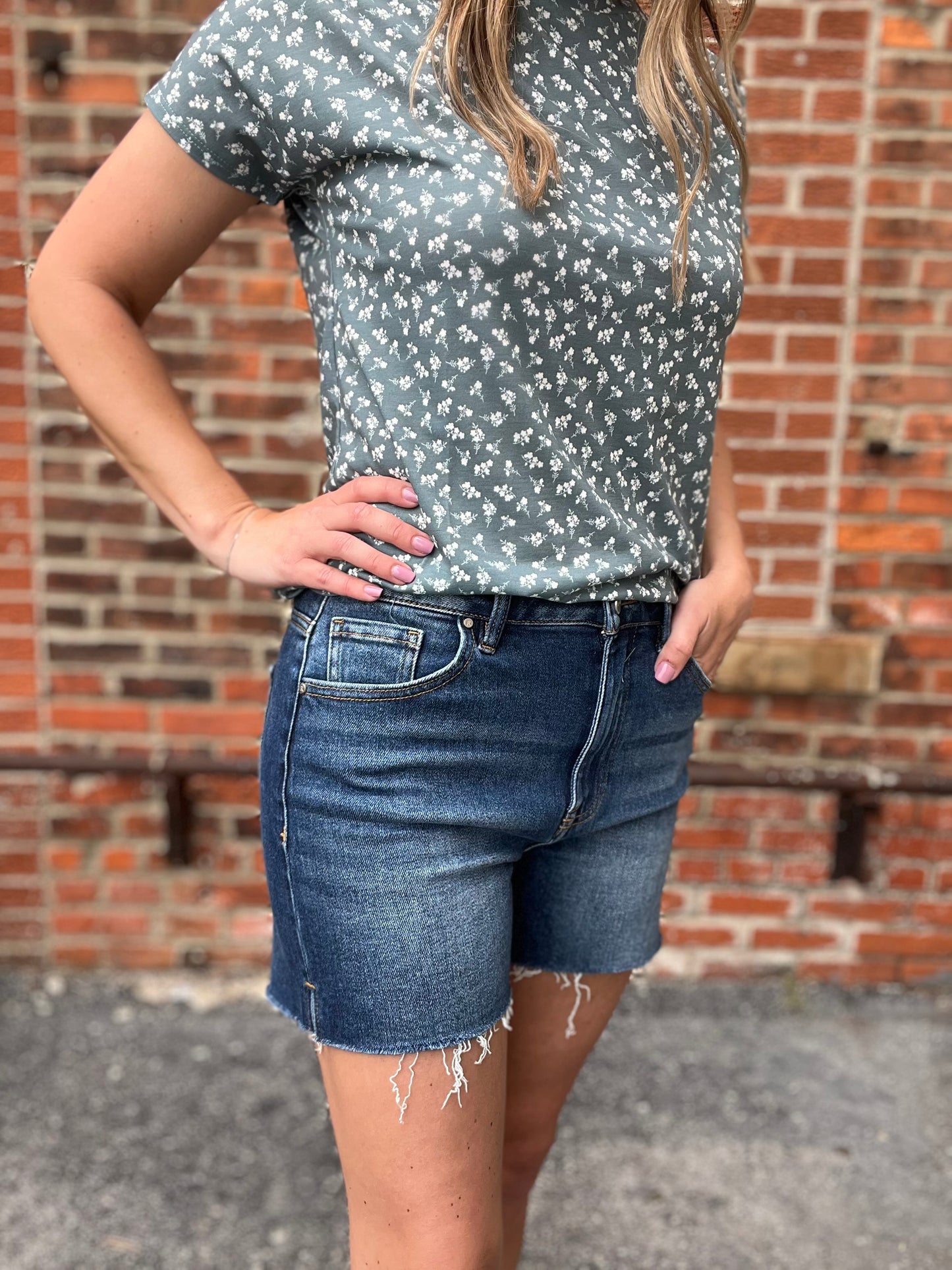 The Annilyn High Rise Jean Shorts