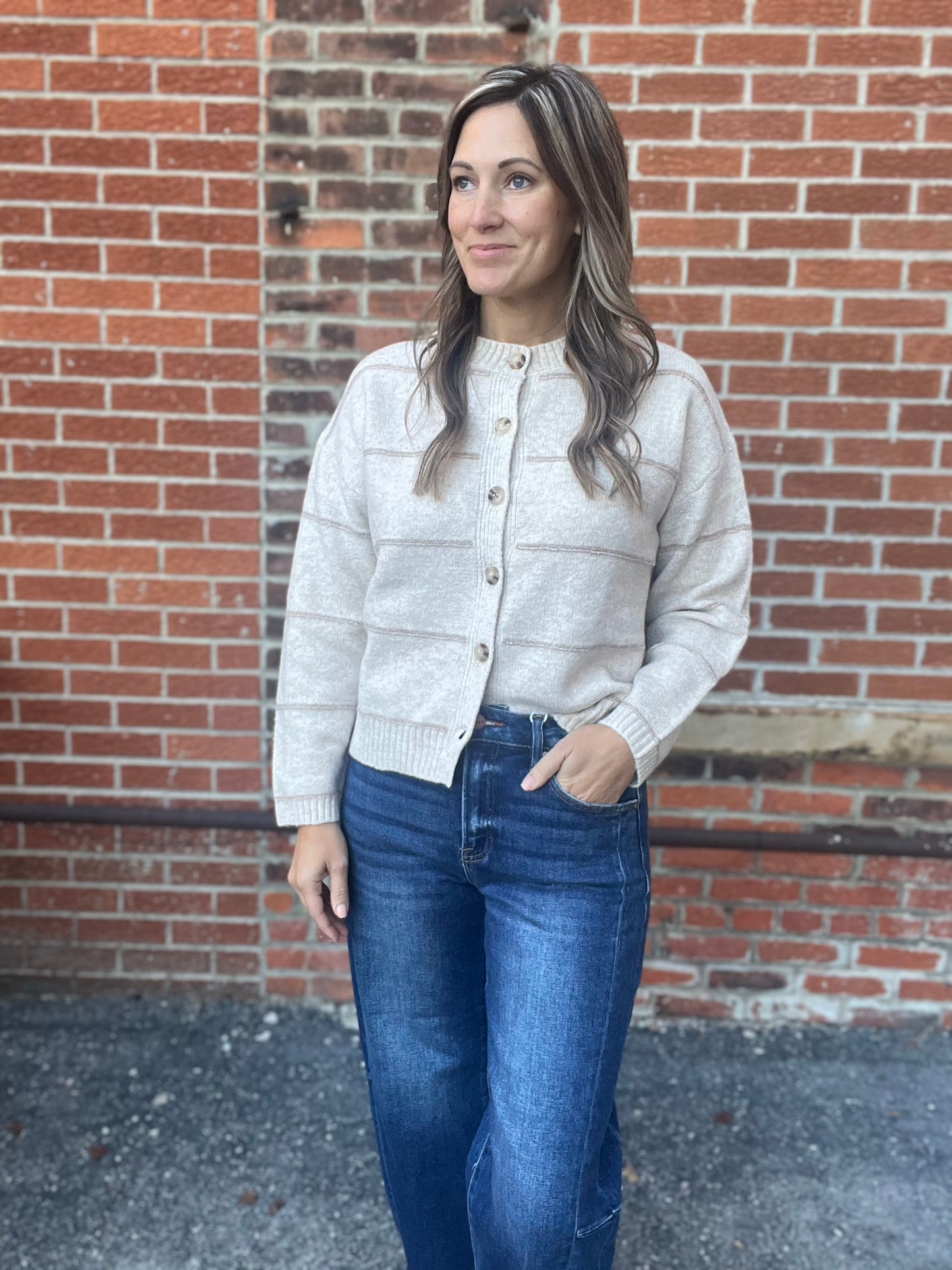 The Andi Oatmeal Stripe Button Down Cardigan