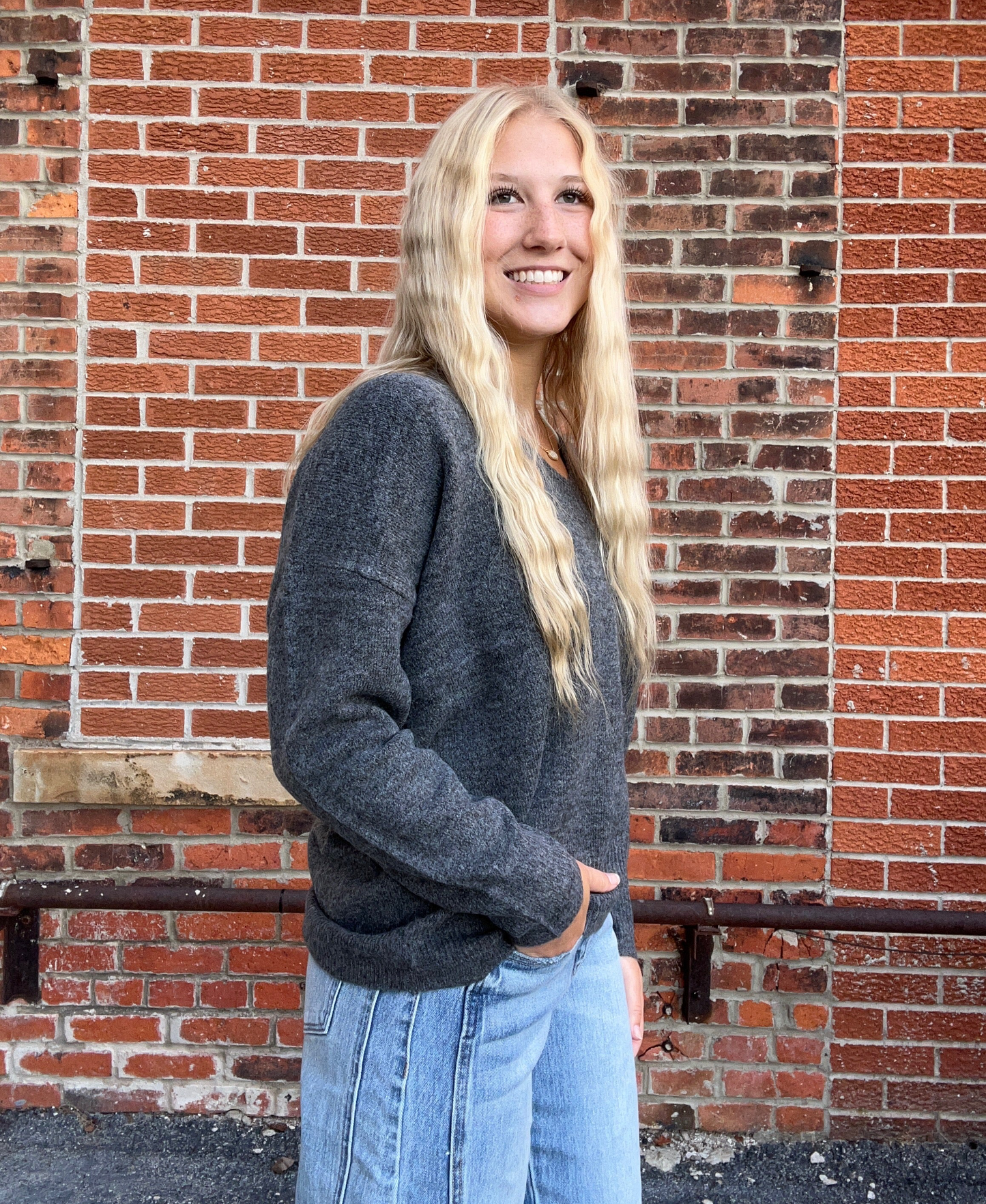 The Lennox Solid V Neck Sweater