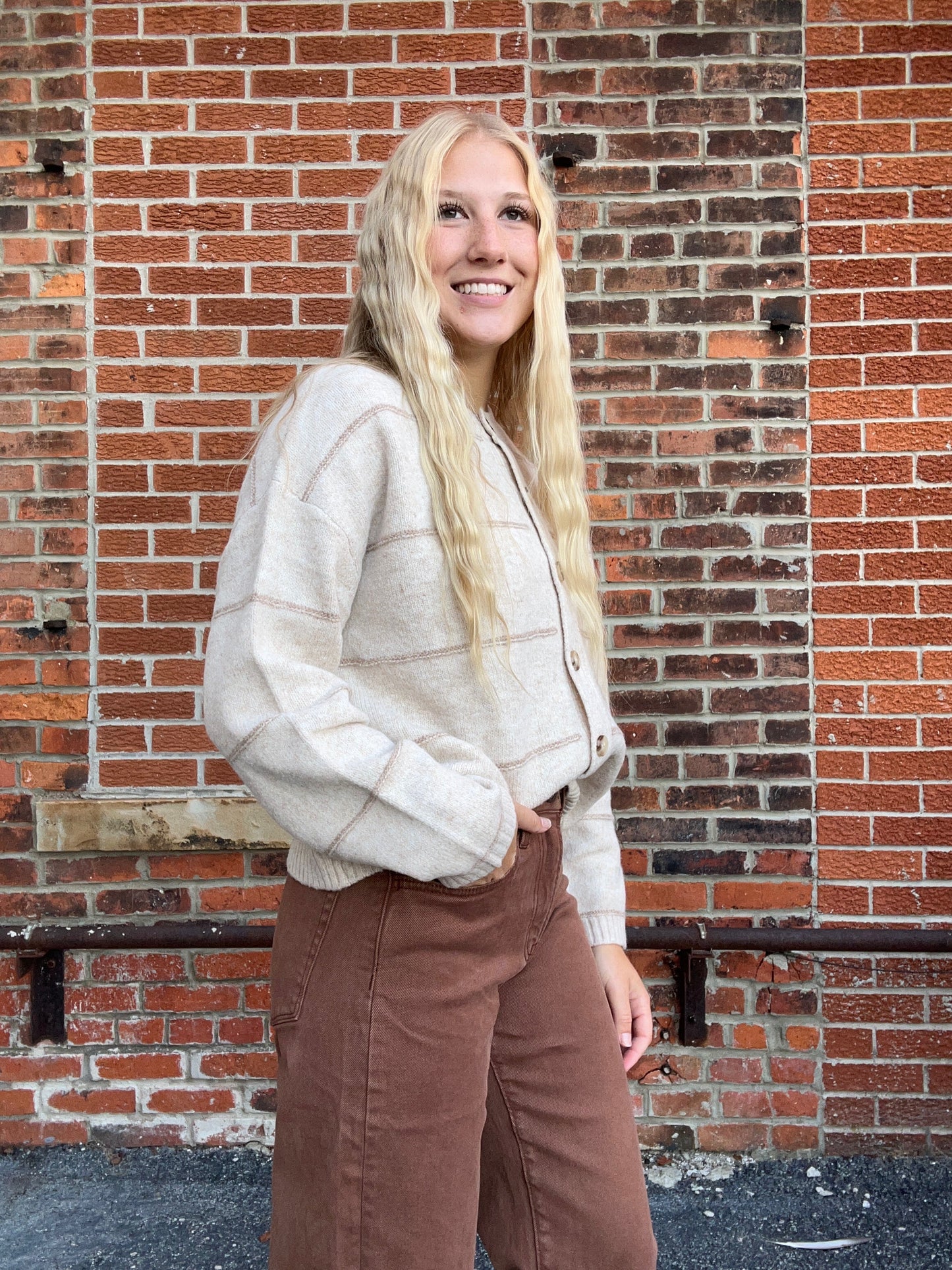 The Andi Oatmeal Stripe Button Down Cardigan