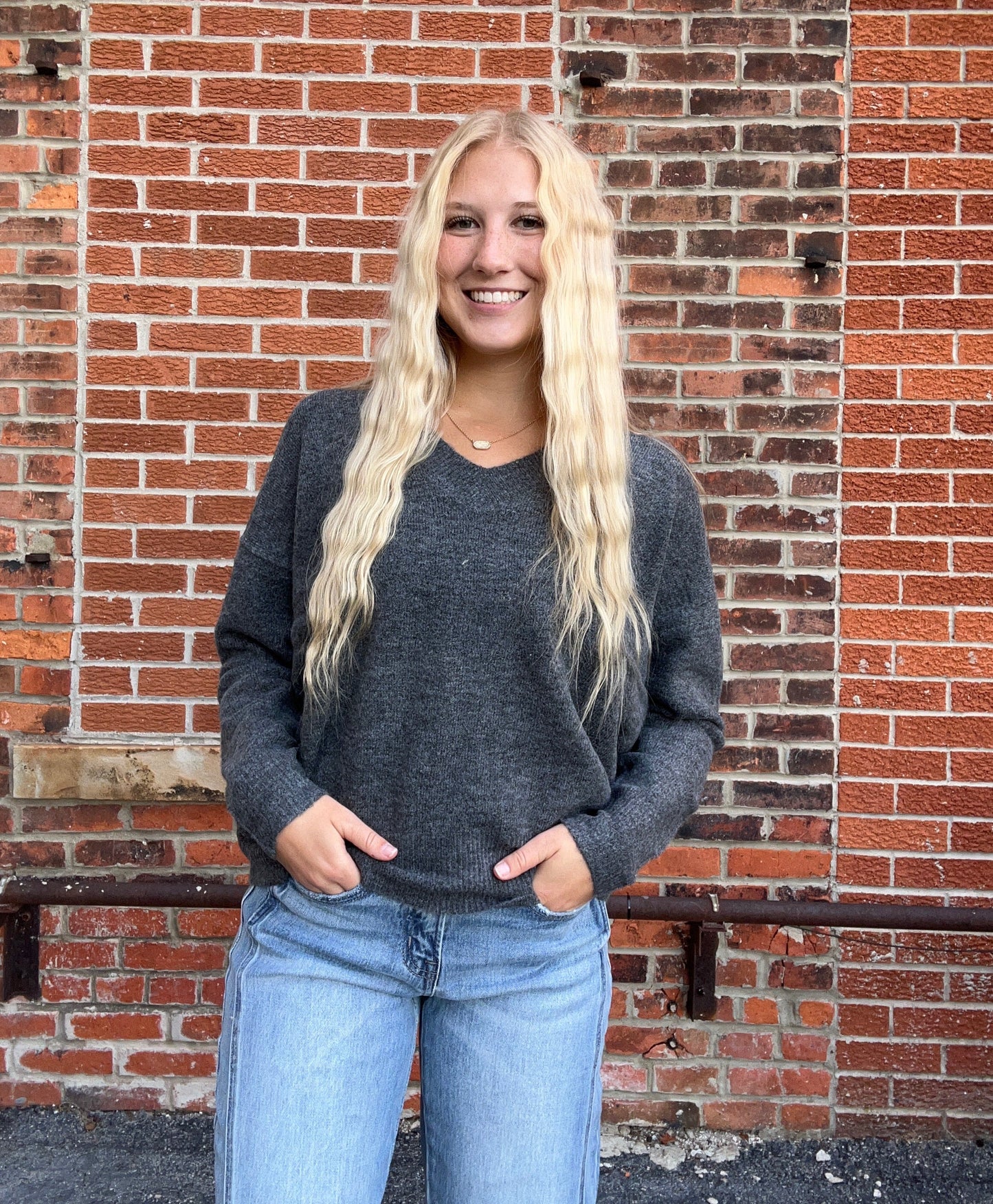 The Lennox Solid V Neck Sweater