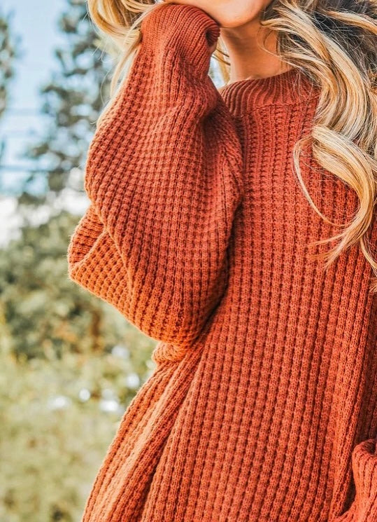 The Curvy Spiced Rust Pullover Knit Sweater