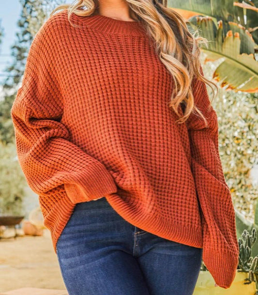 The Curvy Spiced Rust Pullover Knit Sweater