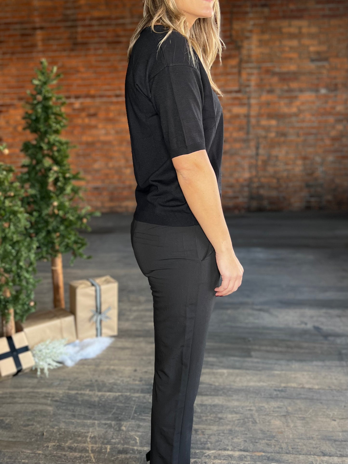 The Harlow Short Sleeve V Top