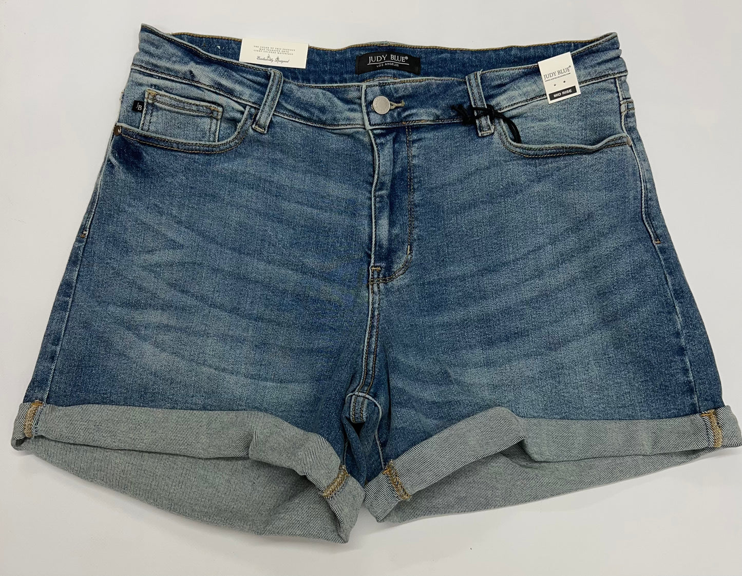 Non Distressed Curvy Judy Blue Shorts