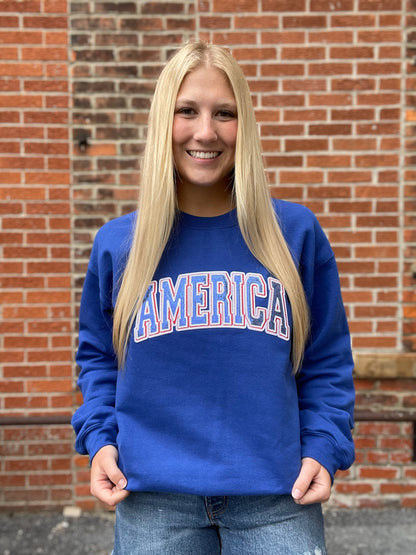 The Dawson Sequin America Crewneck