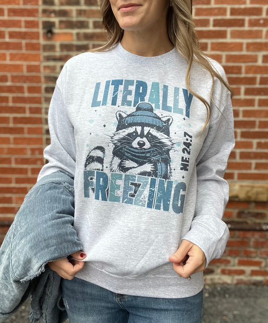 Literally Freezing Pullover Crewneck