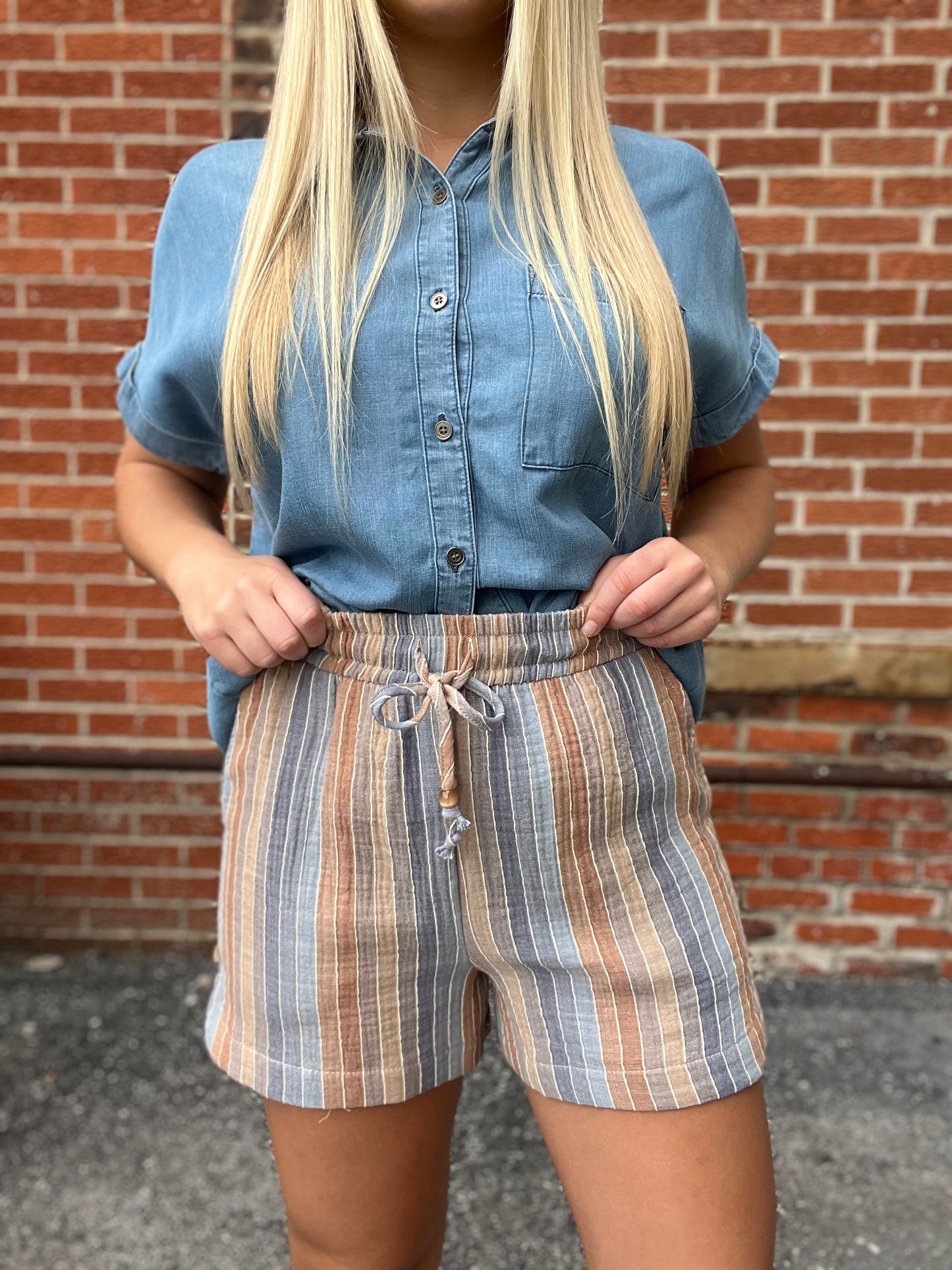 The Rowlynn Multicolor Stripe Gauze Shorts