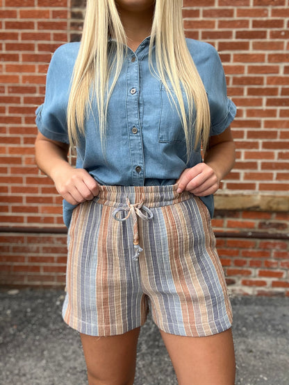 The Rowlynn Multicolor Stripe Gauze Shorts