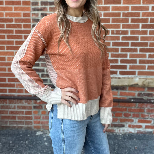 Long Sleeve Envy Color Block Sweater