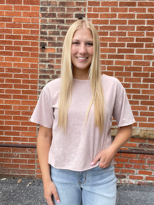 The Liora Mineral Washed Cropped Tee