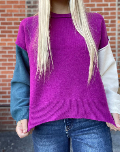 The Nala Multi Color Long Sleeve Sweater