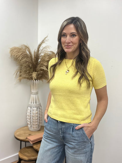 The Amara Round Neck Short Sleeve Sweater Top