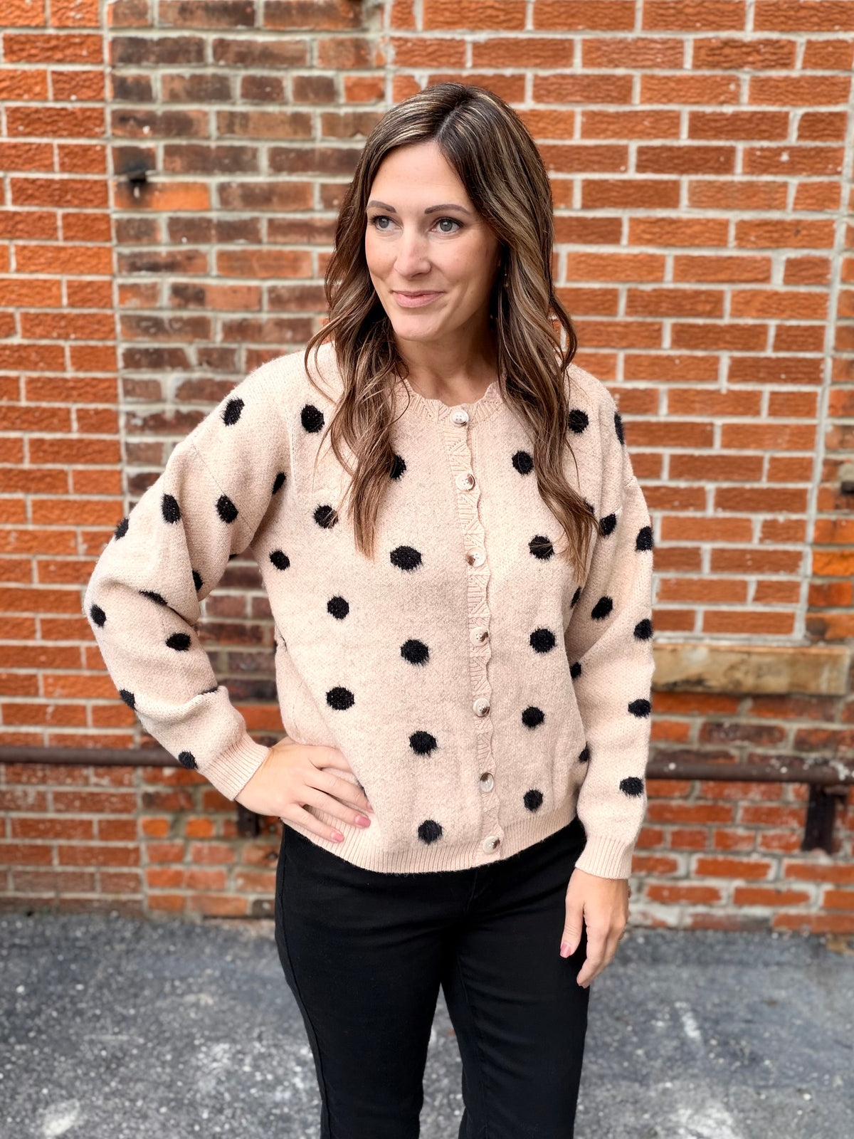 The Harpson Polka Dot Button Down Sweater Cardigan