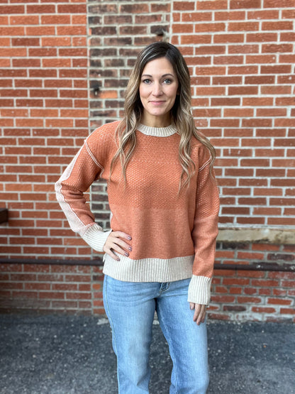 Long Sleeve Envy Color Block Sweater