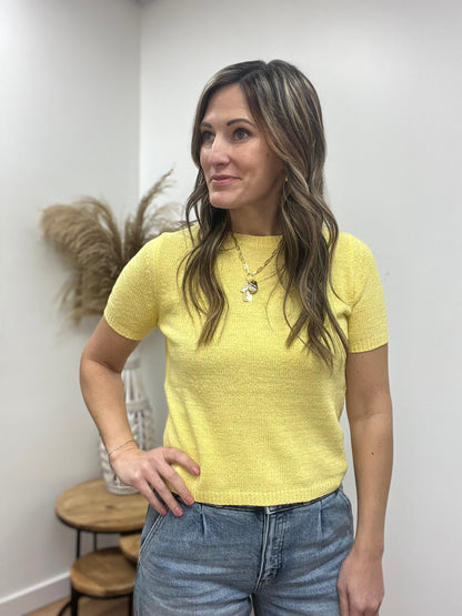 The Amara Round Neck Short Sleeve Sweater Top