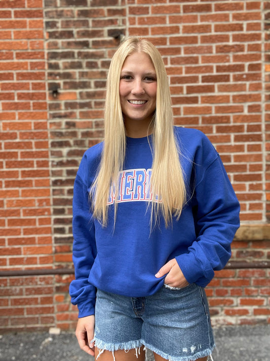 The Dawson Sequin America Crewneck