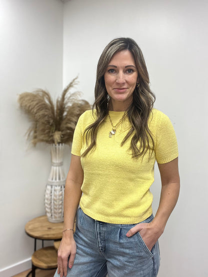 The Amara Round Neck Short Sleeve Sweater Top