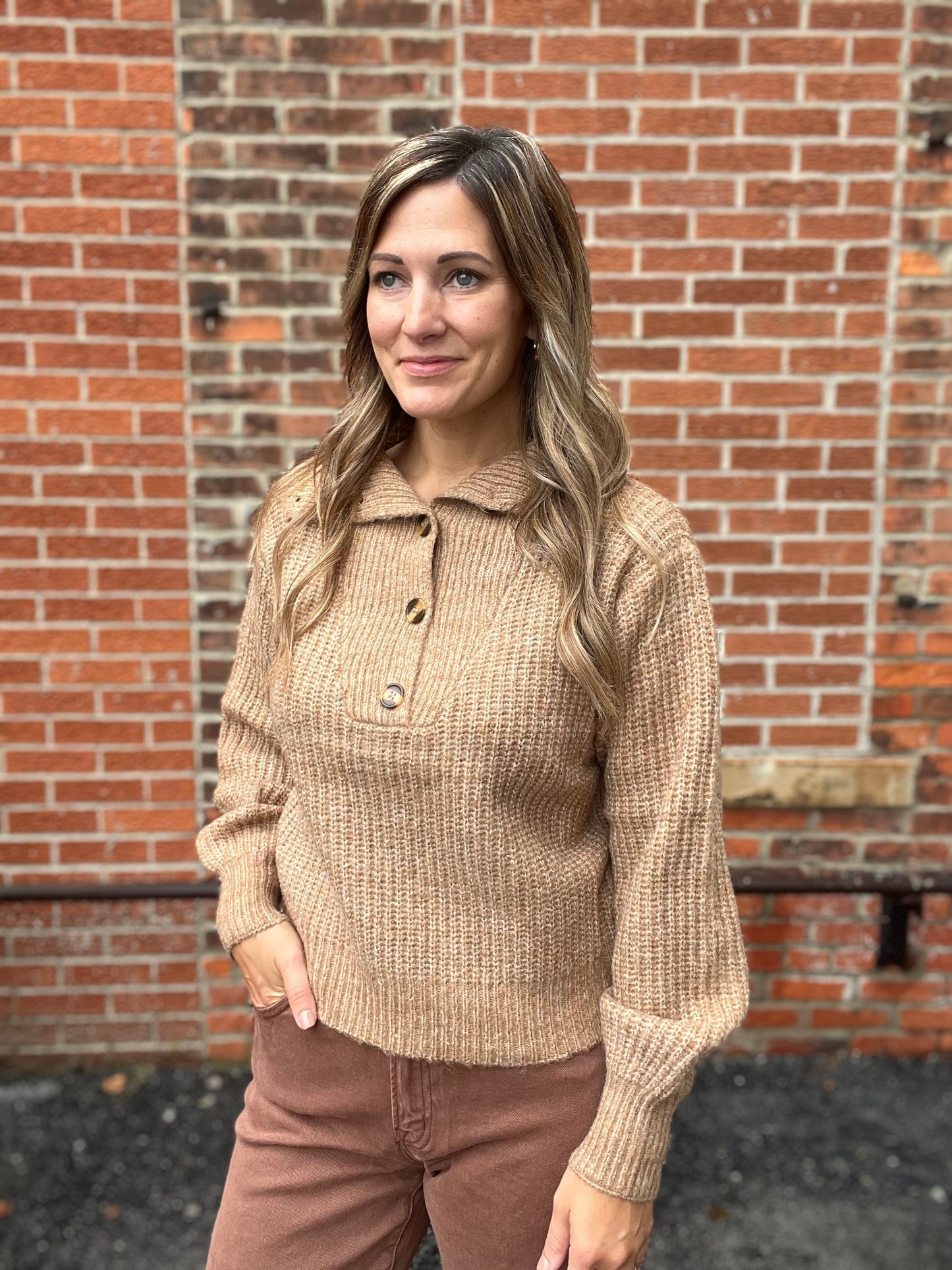 The Maxlum Pullover Button Collar Sweater